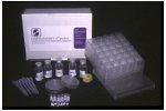 Pulex - Daphtoxkiit F Microbiotests