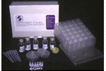 DAPHTOXKIT - F Magna - 24-48h Acute Toxicity Test