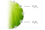 Luna - C8(2) Phase - HPLC Columns