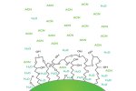 Luna - CN Phase - HPLC Columns