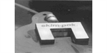 Flow - Control and Floating Fixed Weir Surface Skimmer Systems