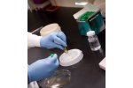 SimPlate - Heterotrophic Plate Count/ Total Viable Count Testing