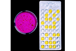 Quanti-Tray & Quanti-Tray - 2000 - Coliform and E. Coli Testing