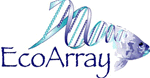 Custom Gene Array Construction