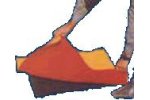 SpillSmart - Drain Seals