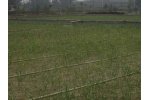 Municipal Sewage Treatment