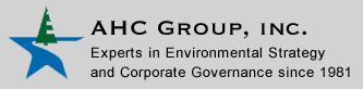 Corporate Strategy Today