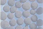 Idodine Absorbtion in Nuclear Power Plants