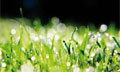ISATIS - Geostatistics Software Solution For The Environment