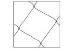 Nixalite - Mist Net Bird & Bat Capture Netting