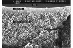 Kerasep-Bio - Ceramic Membranes
