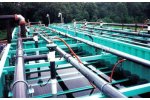 FAST - Fixed Activated Sludge Treatment
