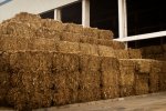Straw Bale Feeding System