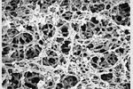 Sterlitech - Cellulose Acetate Membrane Filters