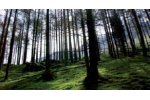 Pure Air Solutions For Biological Abatement
