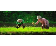 UNEP launches knowledge and cooperation platform for a sustainable future