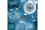 On-line Monitoring of Cooling Water