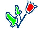 Canarina DISPER · air pollution mapping software · 3D