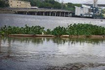 Floatable Debris - Debris Boom