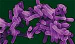 Legionella Prevention