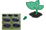 The Treatment of Sewage Sludge