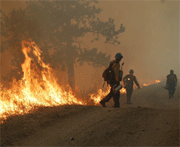 Health to be at the centre of the fight against climate change