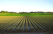 Groundbreaking farming agreement launched to protect countryside