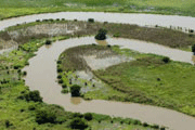 Newly identified enzymes help plants sense elevated CO2 and could lead to water-wise...