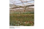 Green Houses