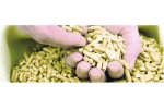 ANDRITZ capabilities for solid biofuel production