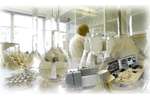 Professional Laboratory Services