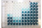 Toxi ChromoTest Kit - Acute Toxicity Test