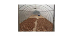 Industrial Solar Drying Systems