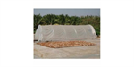 Solar Drying System