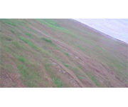 CoirGreen™ Geotextiles - An Effective Soil Erosion Prevention Method