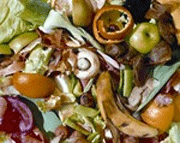 Cavendish Conference Venues announce two major Green Initiatives