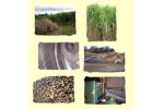 Biomass Energy