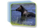 Environmental Risk Assessment