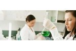 Lab Analysis