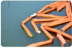 Nuclear and Hazardous Waste Services