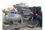 Camda Perkins Diesel Engine Genset