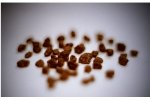 ODOCAT - G200 - Regenerable Nano-gold Catalyst for Oxidizing VOC’s/odor and Converting O3 to O2 at Low Temperatures