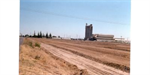 Oil Spill Cleanup using Bioremediation