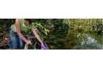 Environmental Impact Assessment (EIA)