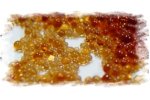 Ion-exchange Resins