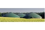 Biogas Plants