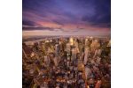 Sustainability + Corporate Social Responsibility