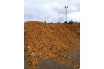 Biomass Power