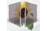 QS Solar - QS50W - 50W Semi-transparent Module