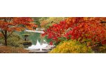 Biological Tech - PWC-1 - Ponds Lakes and Lagoon Purifier